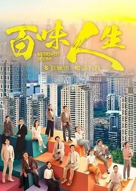 雾港迷航 热播电视剧全集在线观看
